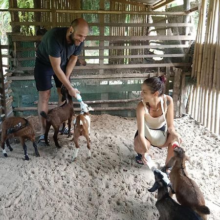 Yaoisland Resort And Farm Ko Yao エクステリア 写真