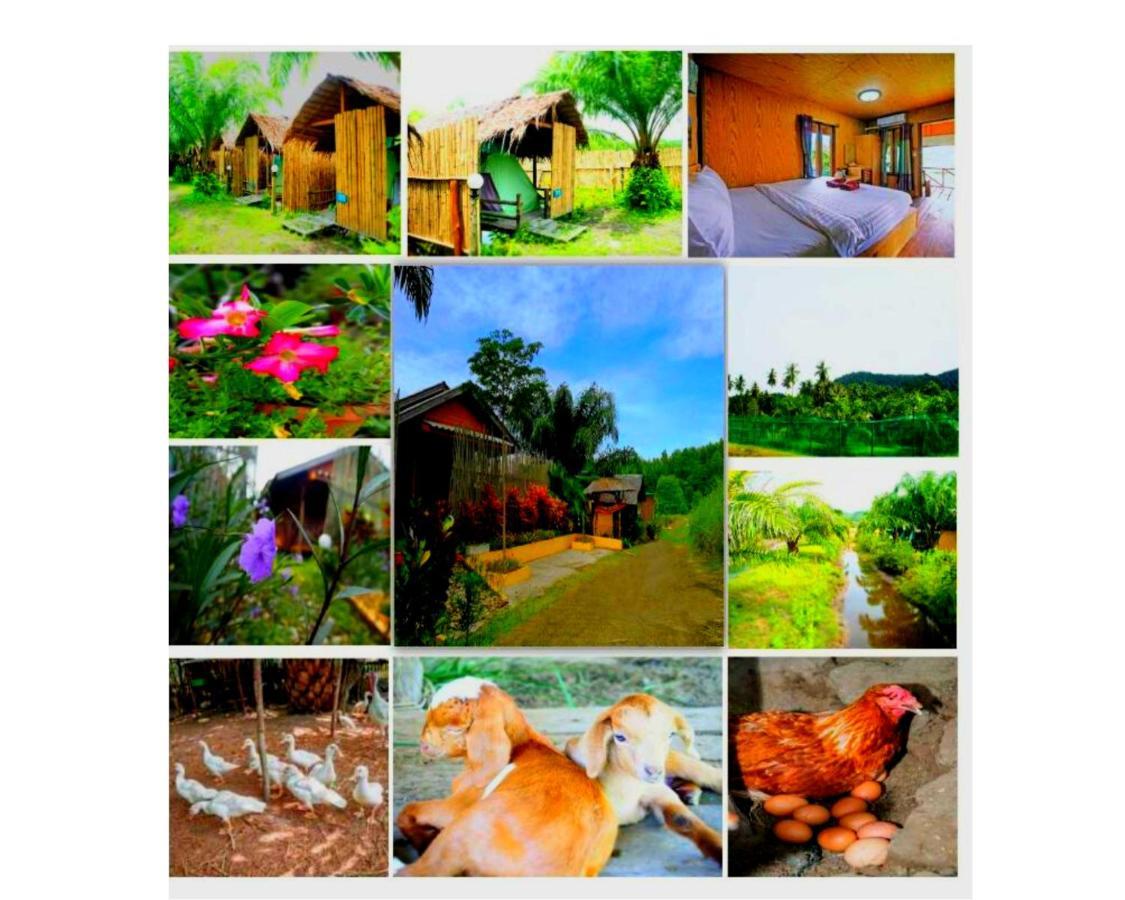 Yaoisland Resort And Farm Ko Yao エクステリア 写真