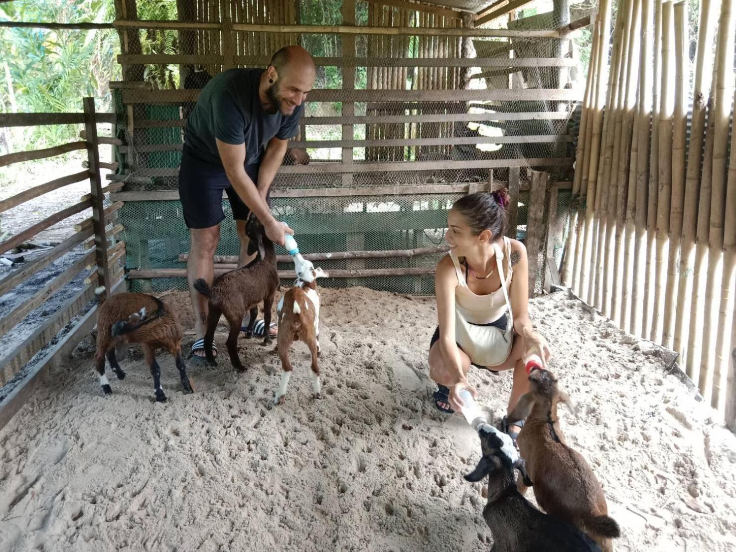 Yaoisland Resort And Farm Ko Yao エクステリア 写真