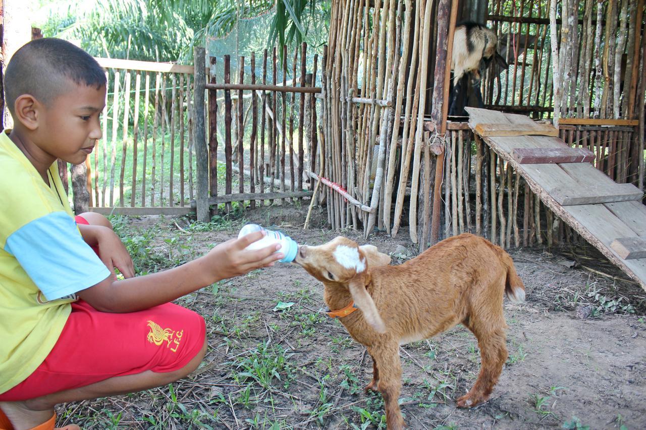 Yaoisland Resort And Farm Ko Yao エクステリア 写真