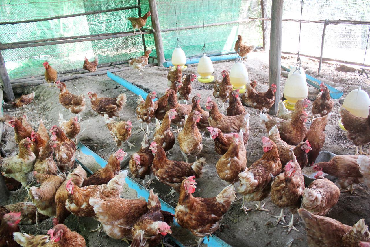 Yaoisland Resort And Farm Ko Yao エクステリア 写真