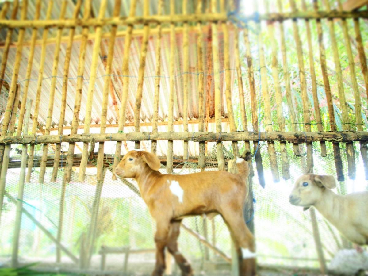 Yaoisland Resort And Farm Ko Yao エクステリア 写真